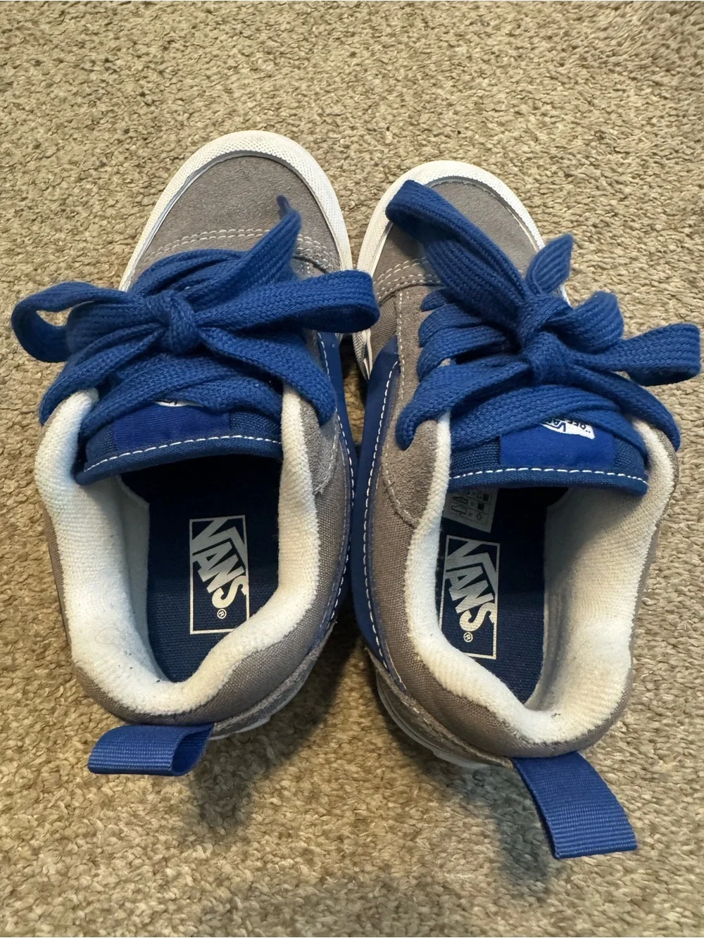 Vans Kids Blue and Gray Low Profile Sneakers